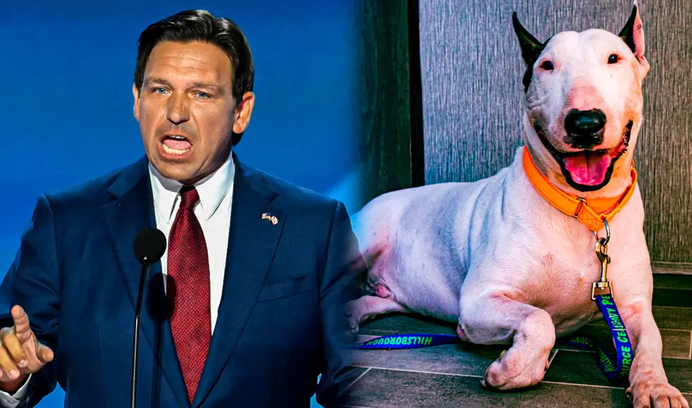 Ley firmada por Ron DeSantis sancionará a personas que abandonen perros en Florida.