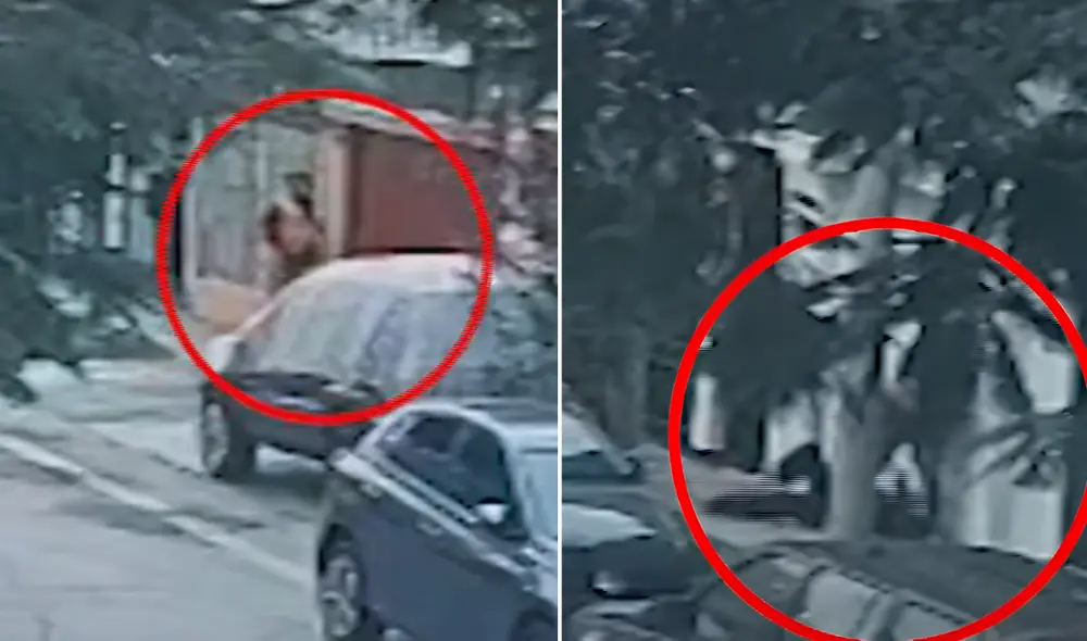 Hampón y su cómplice tenían puesto chalecos naranjas reglamentarios. Foto: Composición LR/24 Horas. Hampón y su cómplice tenían puesto chalecos naranjas reglamentarios. Foto: Composición LR/24 Horas.