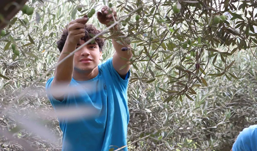 Es fundamental reflexionar sobre el rol de las escuelas en la formación de ciudadanos comprometidos con el cuidado del planeta. Foto: difusión