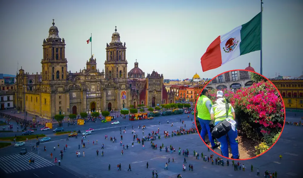 Hallan sin vida a mujer en el Zócalo; investigan causas del deceso.