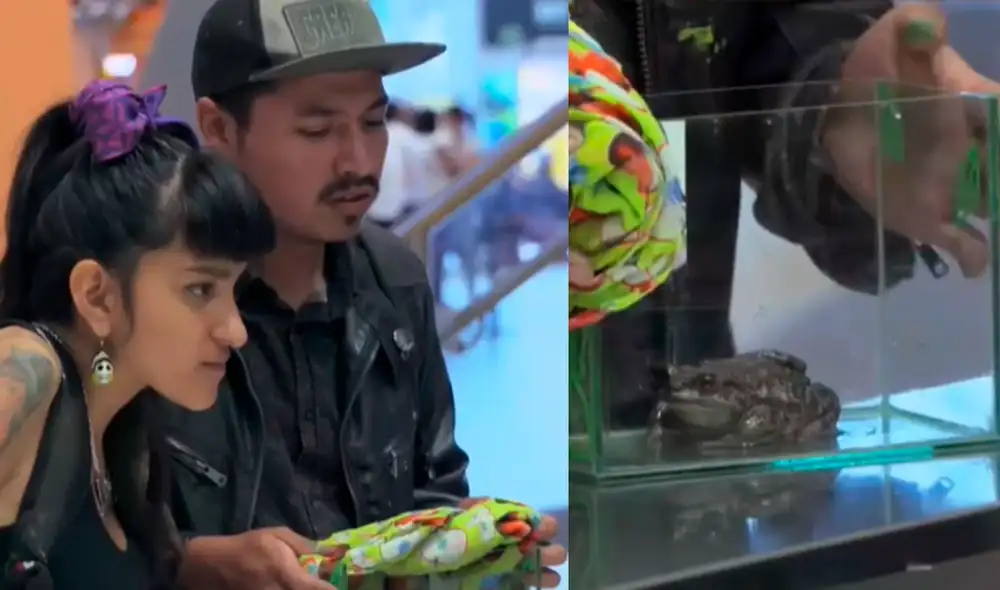 La pareja causó revuelo al presentarse con su mascota poco usual.