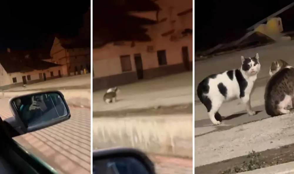 Video tiene millones de vistas. Video tiene millones de vistas.