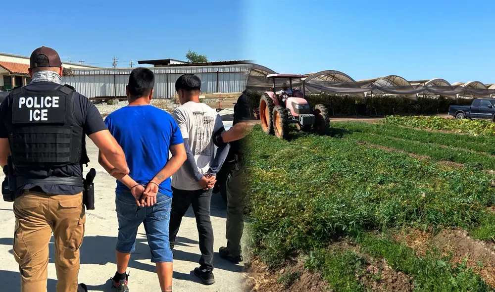 Las operaciones de ICE han crecido en las granjas de California.