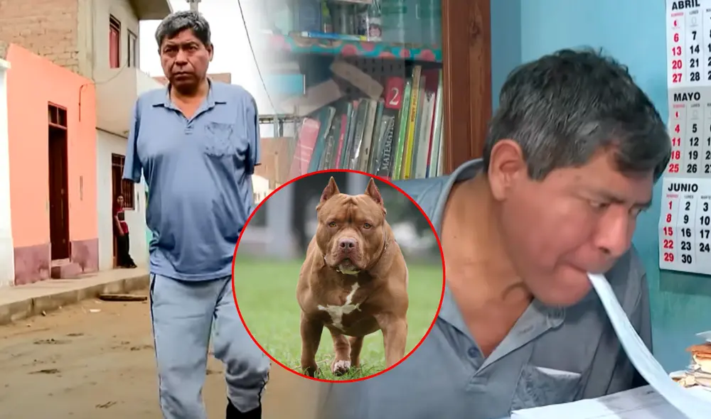 Fernando estuvo bajo el ataque de los feroces pitbulls durante 15 minutos. Foto: composición LR/América TV/Univisión