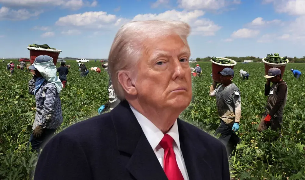 Donald Trump prometió evitar las deportaciones de inmigrantes que trabajaren en la cadena de producción en Estados Unidos.