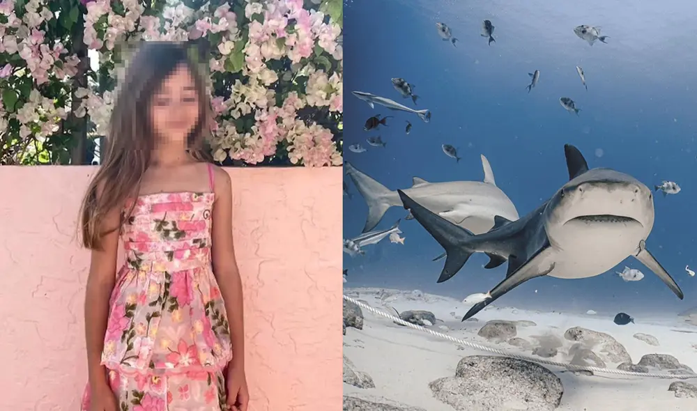 Leah Lendel fue atacada por un tiburón en una playa de Florida. Leah Lendel fue atacada por un tiburón en una playa de Florida.