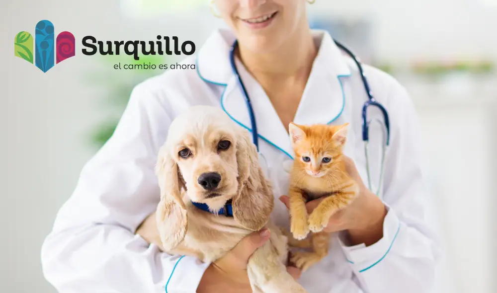 Este 14 de junio, la Municipalidad de Surquillo realizará una campaña veterinaria. Foto: Composición LR Este 14 de junio, la Municipalidad de Surquillo realizará una campaña veterinaria. Foto: Composición LR