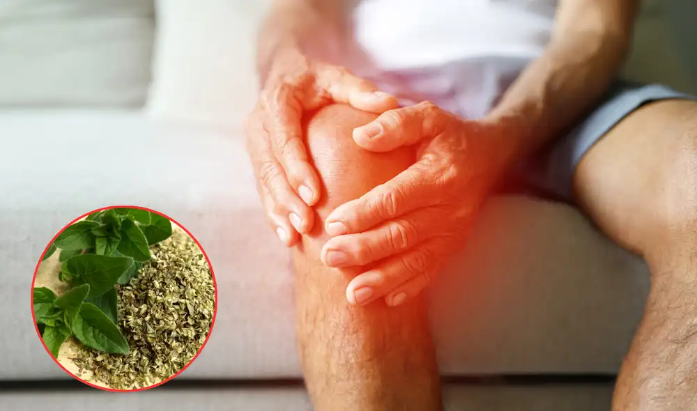 Esta especia alivia el dolor de articulaciones. Foto: Composición LR Esta especia alivia el dolor de articulaciones. Foto: Composición LR