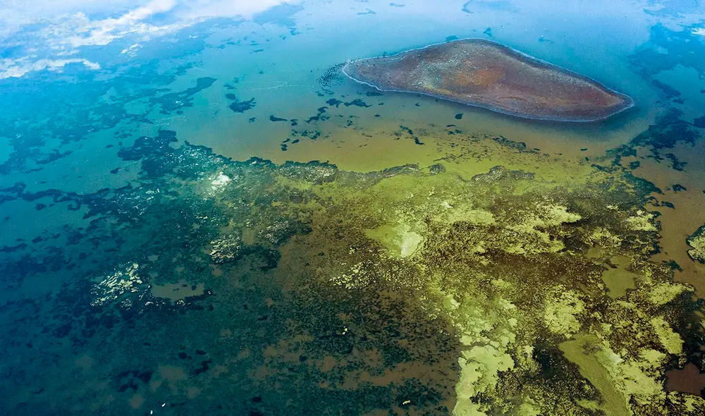 Los océanos aumentaron los niveles de acides debido al dióxido de carbonos producto de la actividad humana. Foto: Environmental Blog