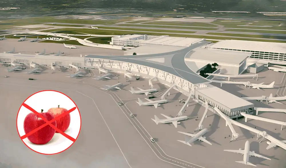 Una pasajera estadounidense fue detenida por llevar una manzana en su equipaje. Foto: composición LR/Wosu/La Vaquita