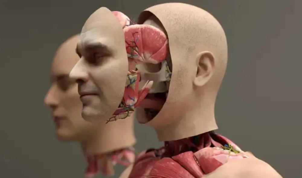 Esta investigación podría representar un posible cambio para personas con cáncer terminal o parálisis severa. Foto: AS