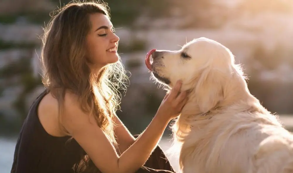 Es cada vez más común ver a personas acariciando animales callejeros