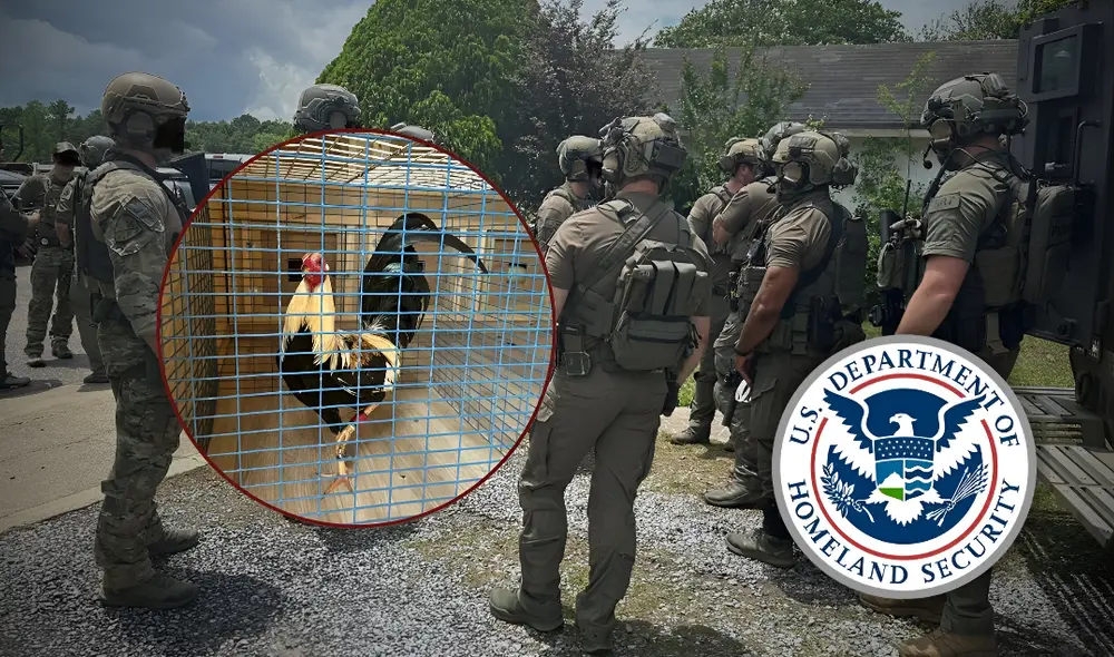 El operativo de ICE resultó en la detención de 55 inmigrantes indocumentados y 5 ciudadanos estadounidenses en Alabama. El operativo de ICE resultó en la detención de 55 inmigrantes indocumentados y 5 ciudadanos estadounidenses en Alabama.