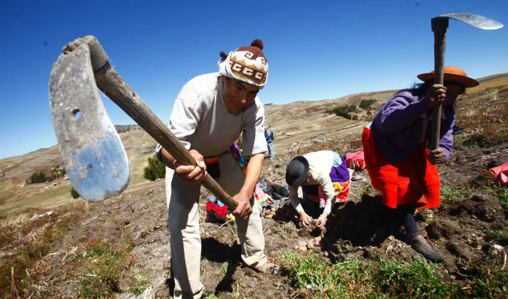 Cada 24 de junio se conmemora el Día del Campesino en todo el territorio peruano. Cada 24 de junio se conmemora el Día del Campesino en todo el territorio peruano.