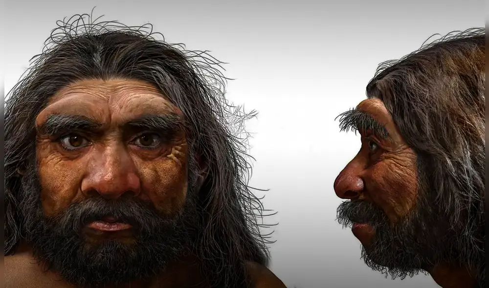 Este descubrimiento convierte al 'Dragon Man' en el primer cráneo completo atribuido con certeza a los denisovanos. Foto: CNN.