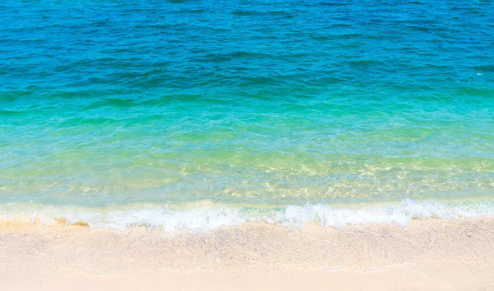 Accede a estas playas limpias en transporte público o privado y disfruta de la diversión.