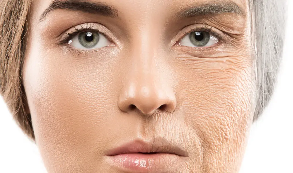 Estudio genético pionero revela que el envejecimiento humano ocurre en momentos críticos donde moléculas y genes sufren transformaciones intensas. Foto: Shutterstock