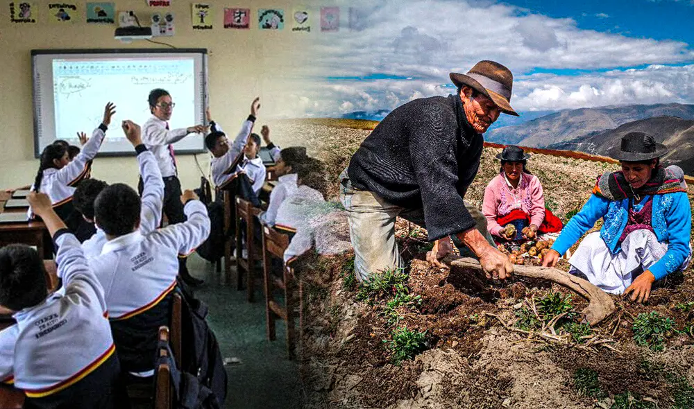 El 24 de junio se celebra el Día del Campesino. Foto: Gerson Cardoso/LR/difusión El 24 de junio se celebra el Día del Campesino. Foto: Gerson Cardoso/LR/difusión