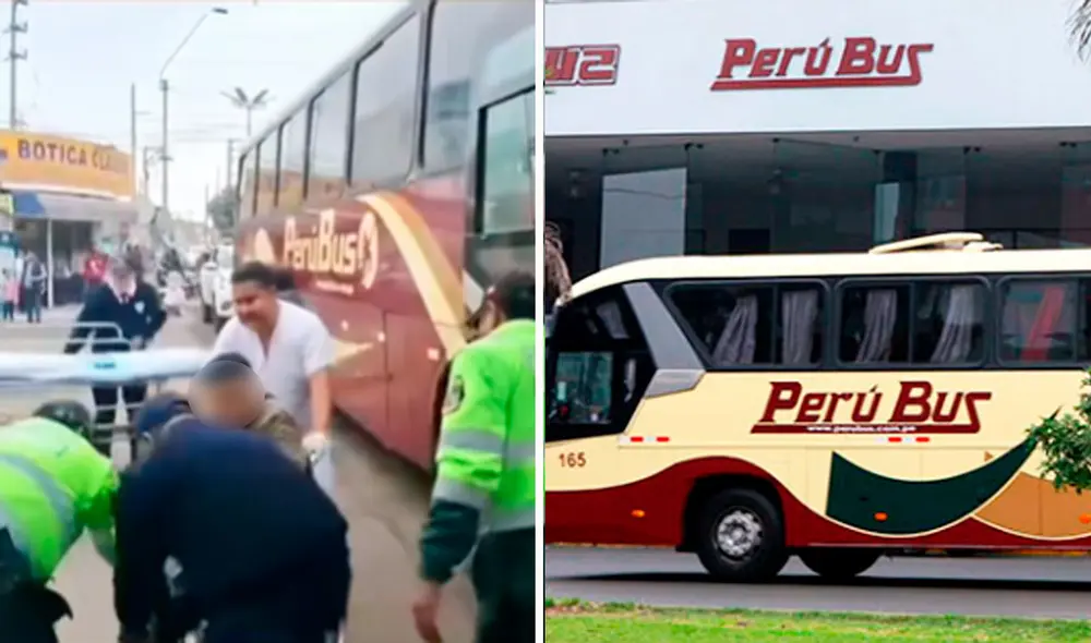 El chofer de Perú Bus no dudó en trasladar al pasajero a un centro de salud en Chincha. Foto: composición LR/ TikTok/ @pisco.te.informa