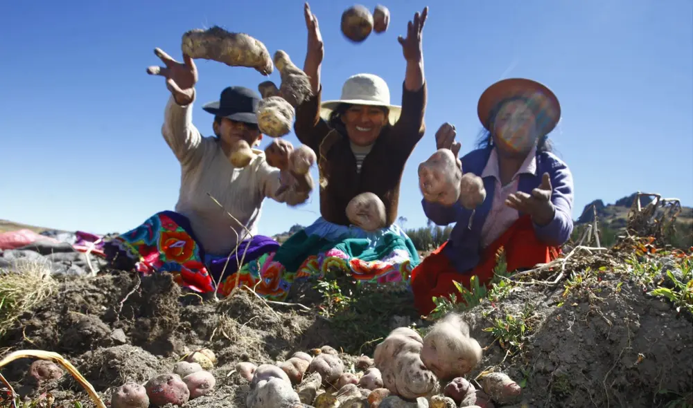 Historia del Día del Campesino