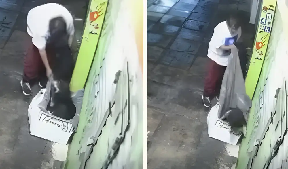 Clip generó varias reacciones en redes. Foto: composición LR/ X Clip generó varias reacciones en redes. Foto: composición LR/ X