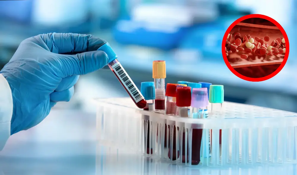 Científicos identifican grupo sanguíneo nunca antes visto tras 15 años de estudio.