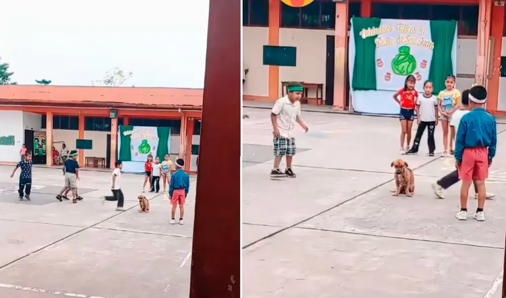 Video tiene miles de vistas en la plataforma.