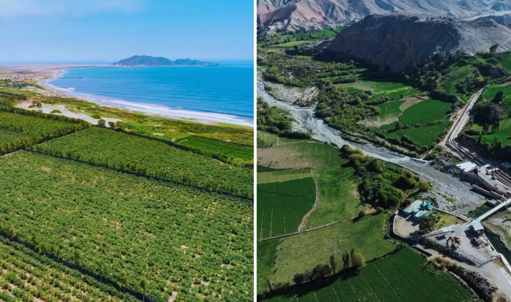 El Midagri impulsa el destrabe de 4 proyectos de irrigación para fomentar las agroexportaciones.