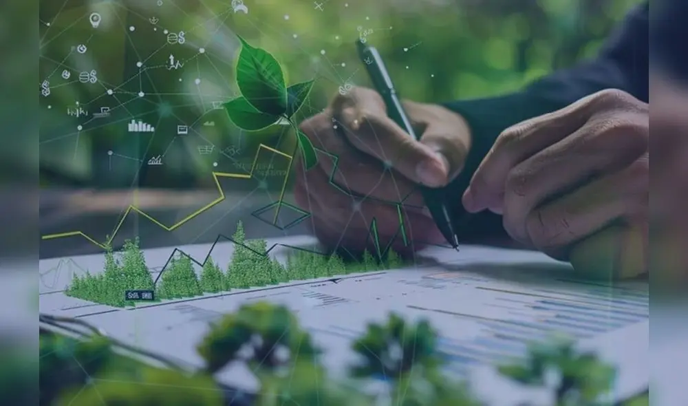 Orden y sostenibilidad para las empresas. Fuente: Difusión