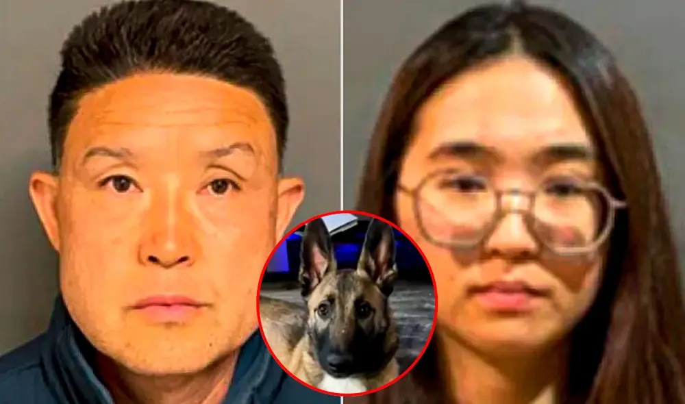 Un entrenador de perros junto a su pareja son acusados de asesinar 10 cachorros en California.