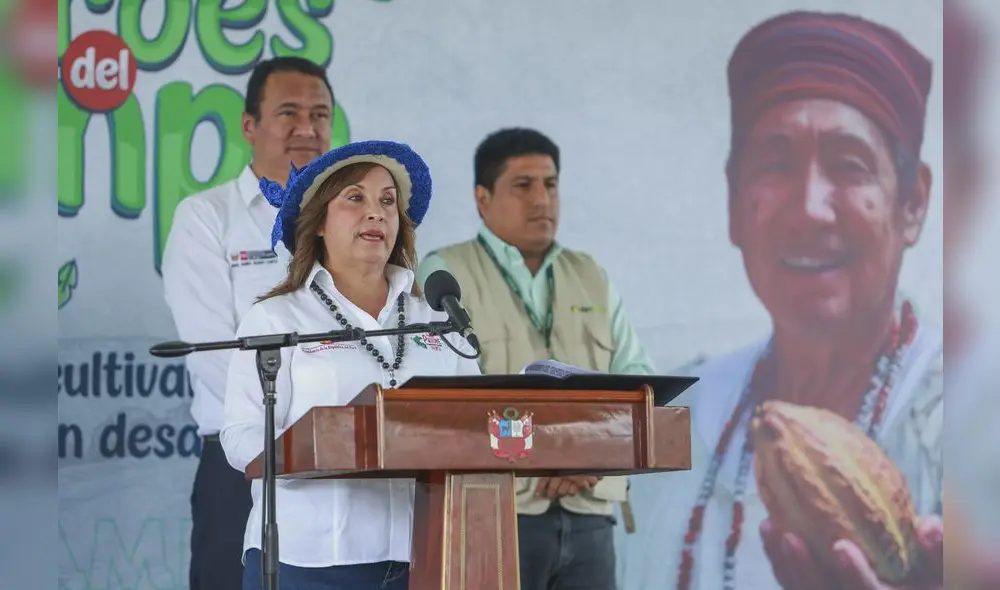 Investigada y blindada. Ninguna denuncia constitucional contra Dina Boluarte ha prosperado hasta el momento en el Congreso. Foto: Presidencia Investigada y blindada. Ninguna denuncia constitucional contra Dina Boluarte ha prosperado hasta el momento en el Congreso. Foto: Presidencia