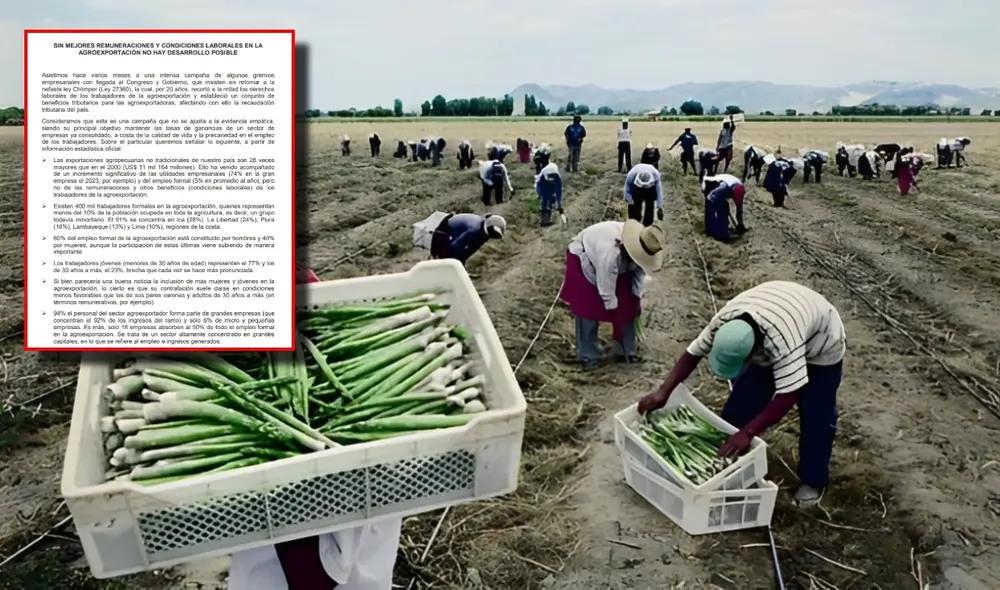 Nueva ley agraria del Congreso busca reducir impuestos a la mitad a las agroexportadoras. Nueva ley agraria del Congreso busca reducir impuestos a la mitad a las agroexportadoras.