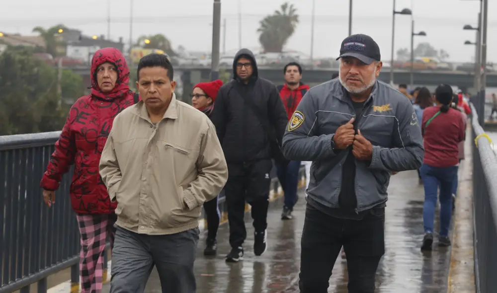 El frío en diferentes partes del Perú no solo afecta a las personas en temas de salud, sino también a la agricultura y ganadería del país.