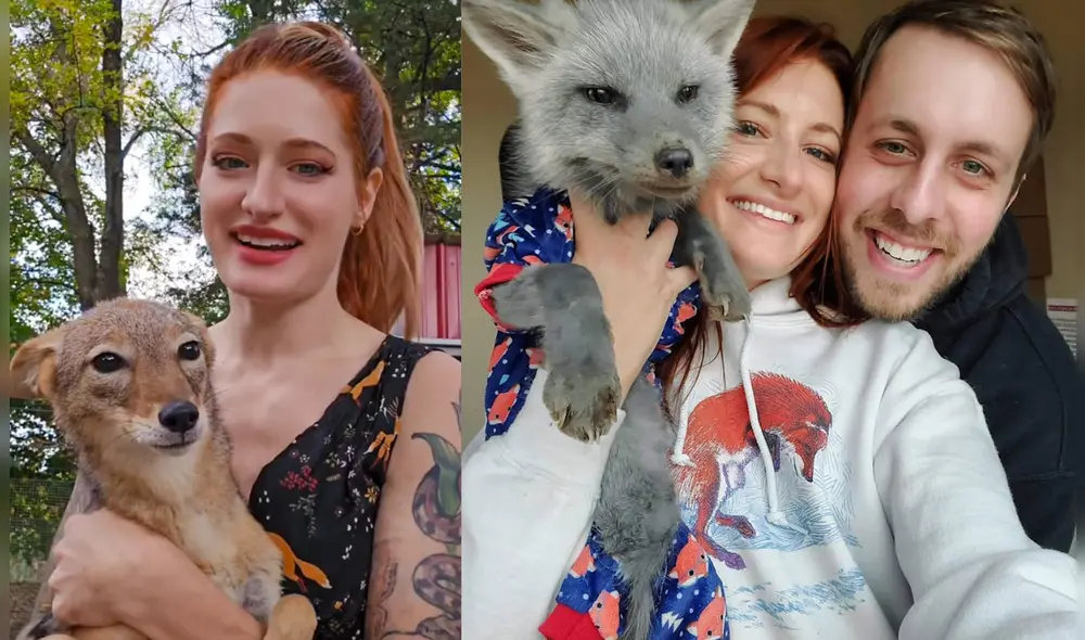 Mikayla Raines, fundadora de SaveAFox Rescue, falleció a los 29 años. Su esposo anunció la noticia por redes sociales. Foto: Composición LR/ Ethan Frankamp, Instagram & @saveafox_rescue