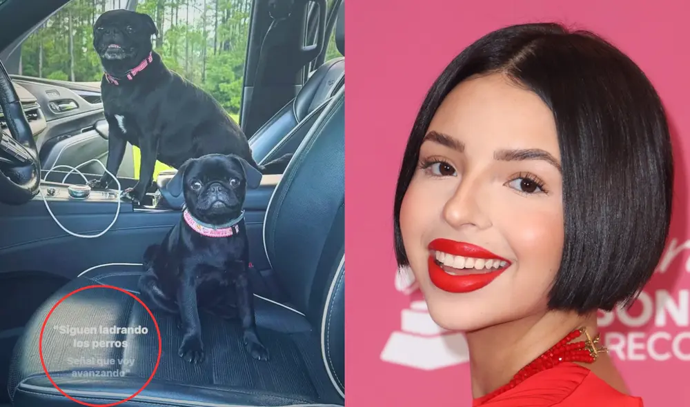 Ángela Aguilar causa polémica al compartir canción de Valentín Elizalde. Ángela Aguilar causa polémica al compartir canción de Valentín Elizalde.