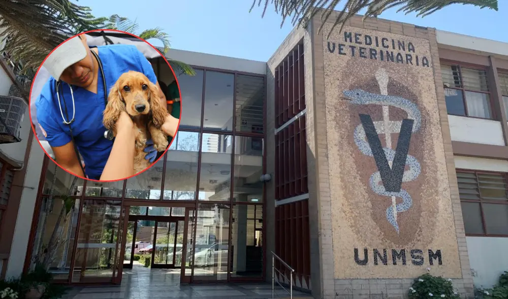 La Clínica Veterinaria de Animales Menores de la UNMSM no es exclusiva para las mascotas de los estudiantes.