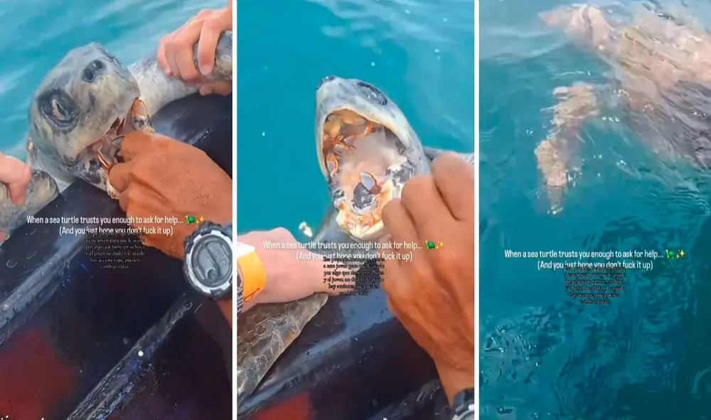 Video tiene miles de vistas en la plataforma.