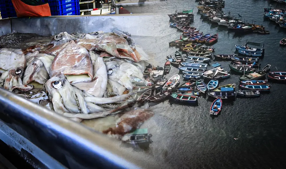 Imarpe afirma que este fenómeno no representa un riesgo para el ecosistema. Foto: composición Gerson Cardoso/ La República.
