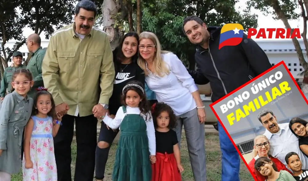 La mayoría de bonos de la patria se entregan por la plataforma del mismo nombre. Foto: composiciónLR/Patria