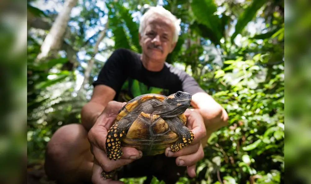 Un modelo de negocio que cuida el ecosistema de la selva peruana. Fuente: Difusión Un modelo de negocio que cuida el ecosistema de la selva peruana. Fuente: Difusión