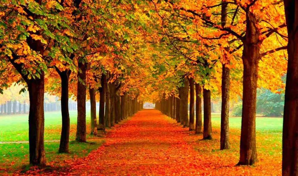 Inicia el mes de julio 2025 y puedas compartir bonitos mensajes y reflexiones para recibir este nuevo tiempo.