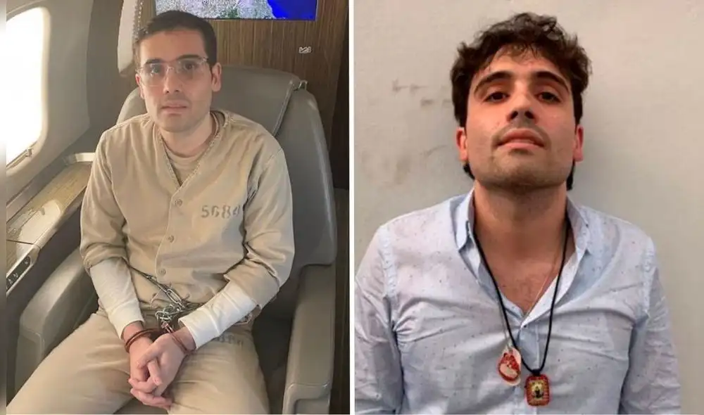 Ovidio Guzmán se declarará culpable frente a la justicia estadounidense. Ovidio Guzmán se declarará culpable frente a la justicia estadounidense.