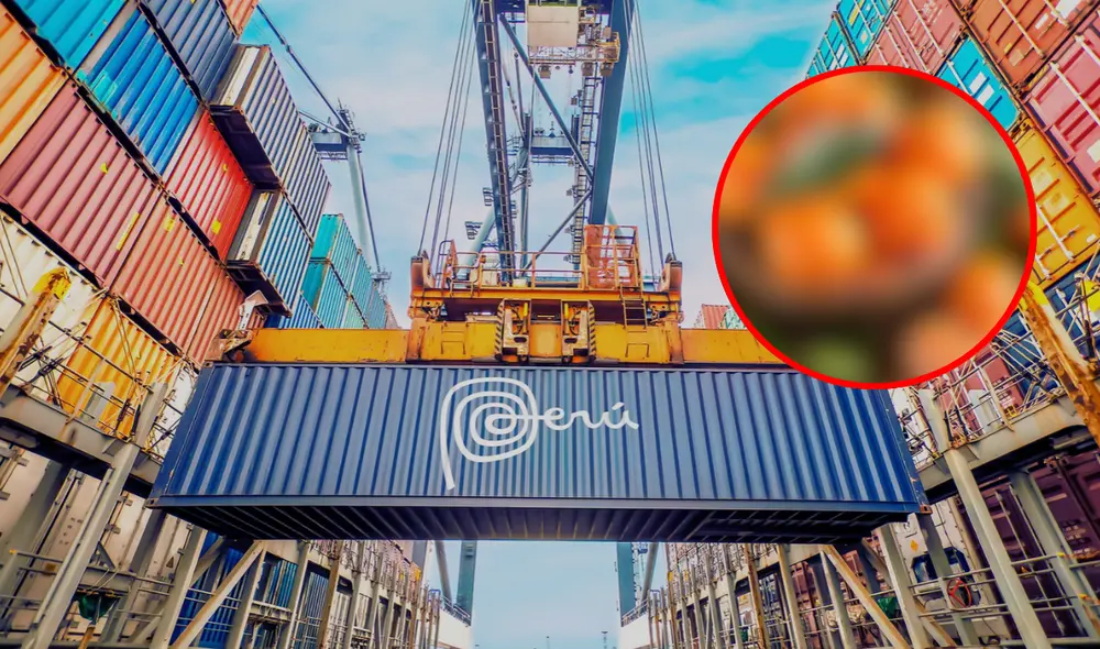 Midagri resaltó que las exportaciones de estas frutas crecieron 50% entre enero y mayo de 2025. Midagri resaltó que las exportaciones de estas frutas crecieron 50% entre enero y mayo de 2025.