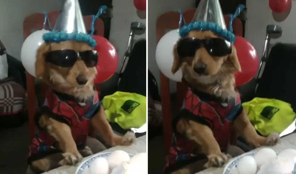 Conmovedora escena emocionó a miles de usuarios en TikTok. Foto: composición LR/@julioelbakan_/TikTok