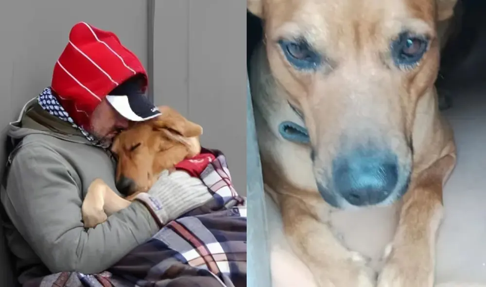 Juan Carlos Leiva sacrificó su vida por cuidar a su perro y murió a las afueras de un edificio. Foto: composición LR/X