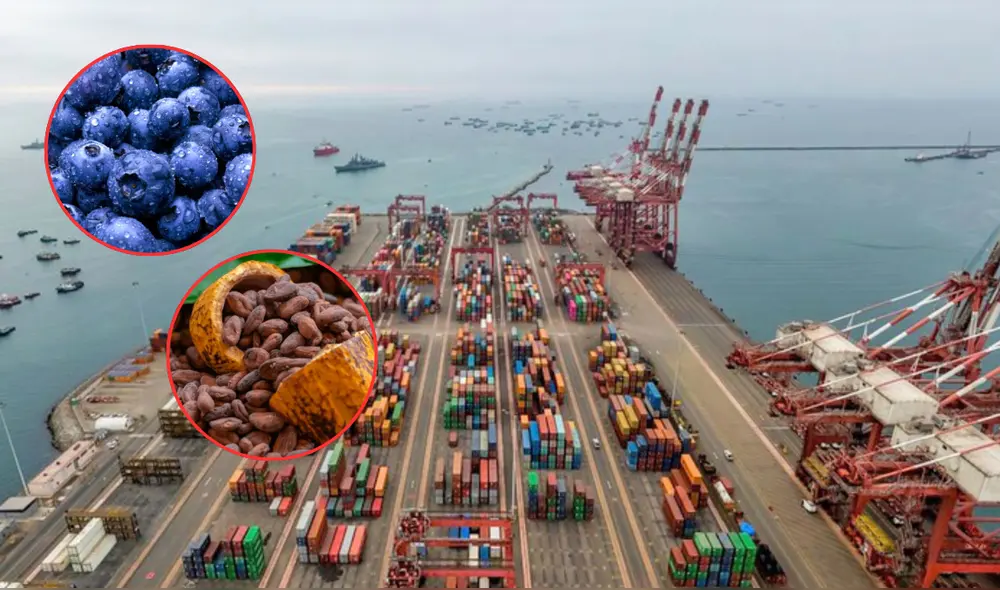 El monto exportado pasó de US$613 millones a US$725 millones. Foto: composición/Andina