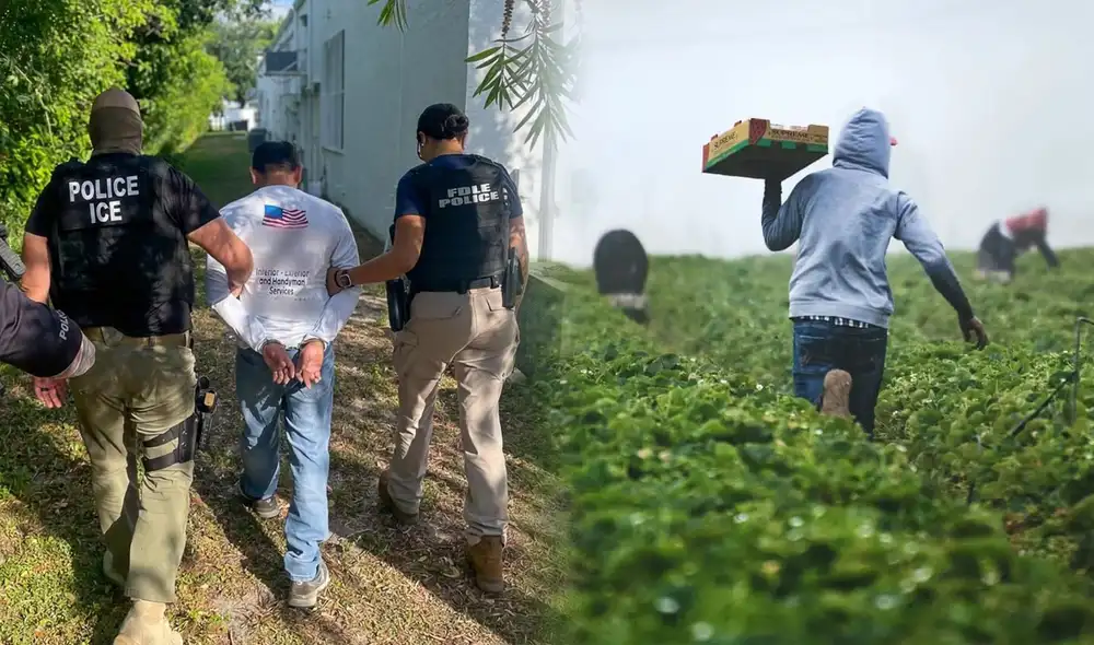 Las redadas de ICE están ocasionando un impacto en el suministro de alimentos en EE.UU.