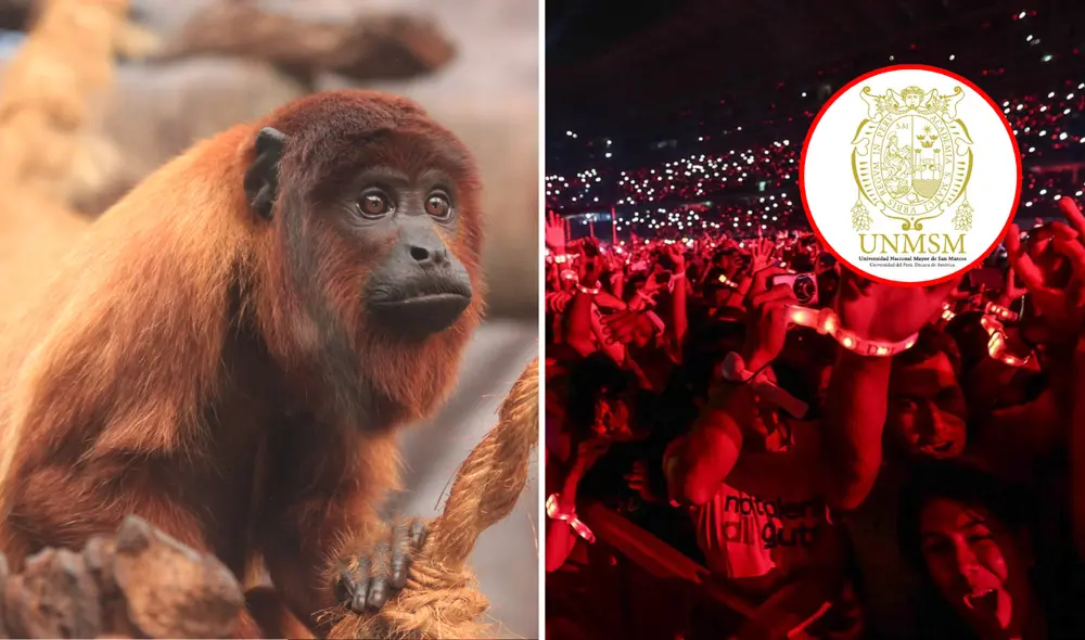 Especialistas de San Marcos advierten sobre las posibles consecuencias de la construcción de la Arena Lima cerca del Parque de las Leyendas.