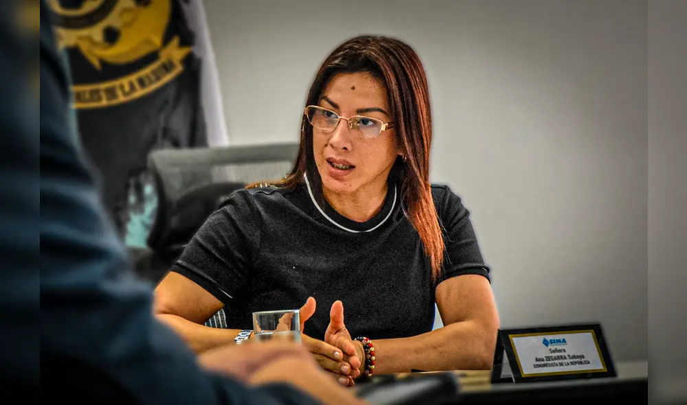 Ana Zegarra es congresista de Somos Perú y cuenta con sentencia penal. Foto: Facebook