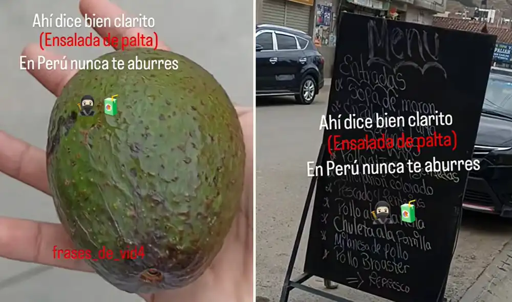 "Ahora así dan las ensaladas", bromeó joven peruano en TikTok tras recibir una palta entera.
